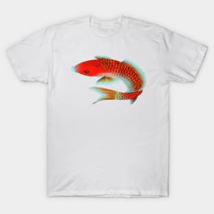 Koi Fish T-Shirt